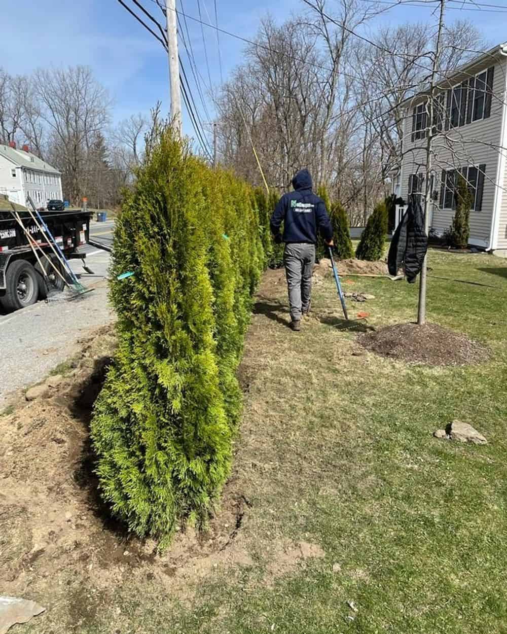 Landscape Maintenance Services image