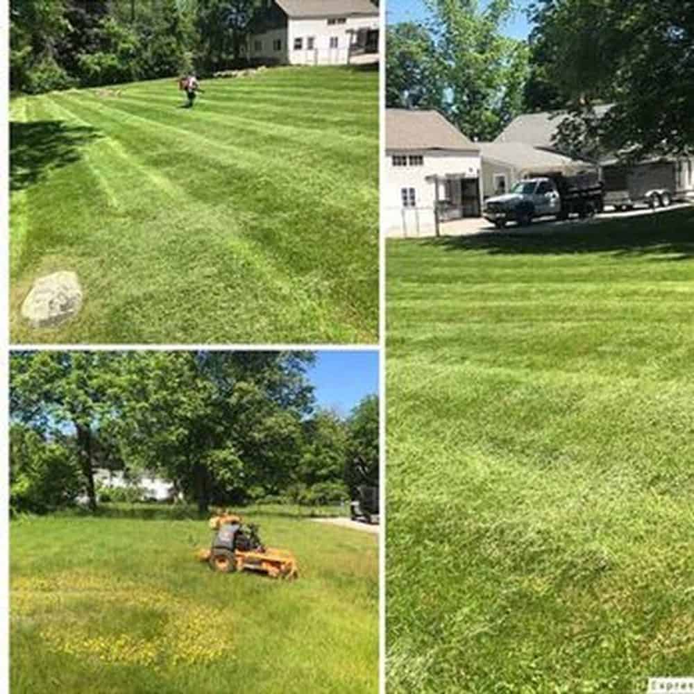 Lawn Mowing Services image