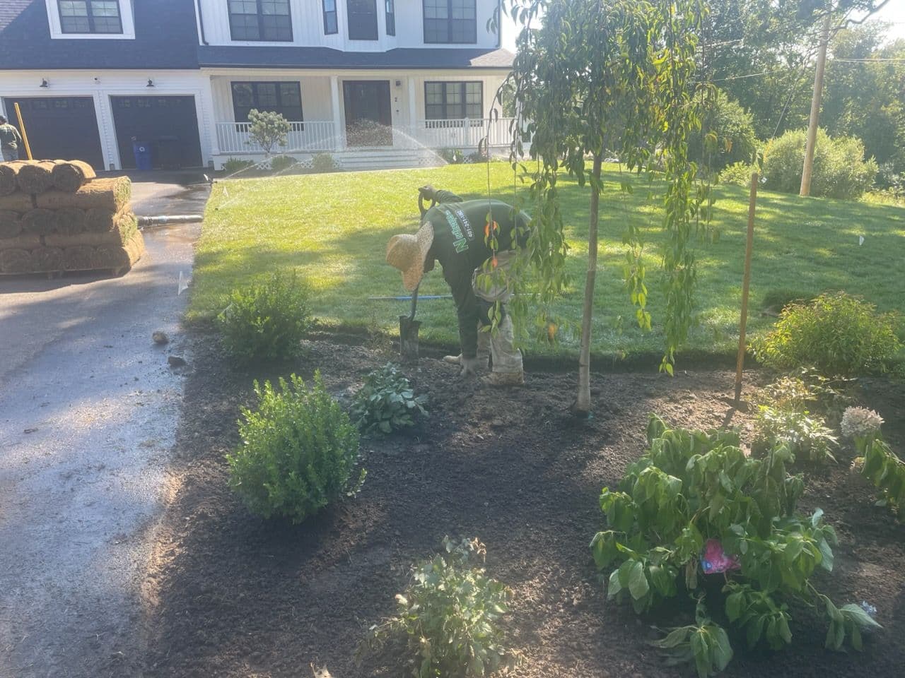 Front Yard Landscaping Transformation