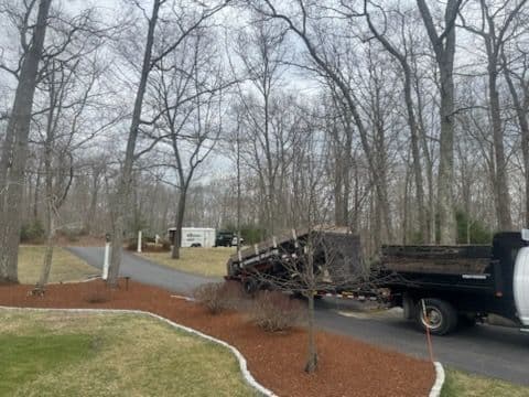 Red Mulch Landscape Transformation