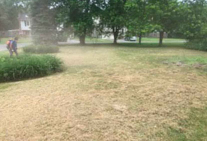 Eco-friendly Practices's image